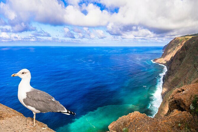 Jeep Safari in Southwest, Calheta and Ponta do Sol Full Day Tour - Who Is This Tour Best For?