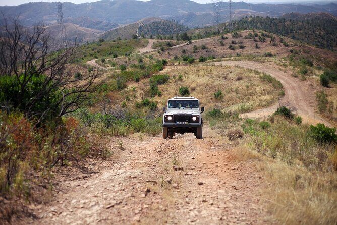 Jeep Safari to Akamas National Park: Avakas Gorge Tour from Paphos - Real Experiences and Honest Feedback