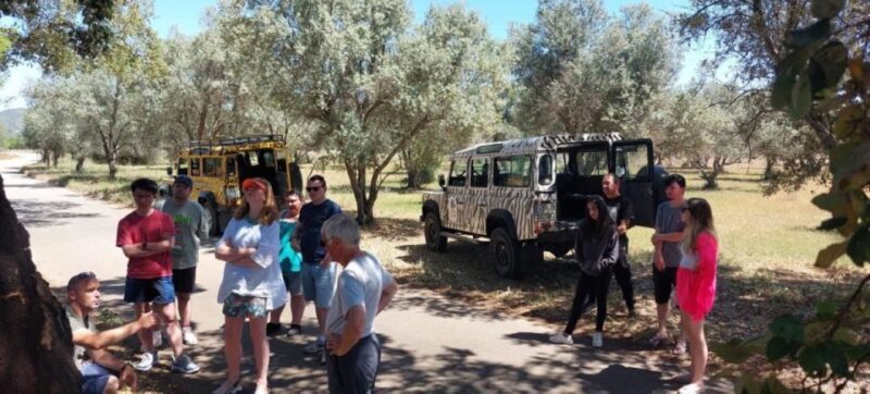 Jeep Safari Tour - Full Day - What Is This Tour All About?