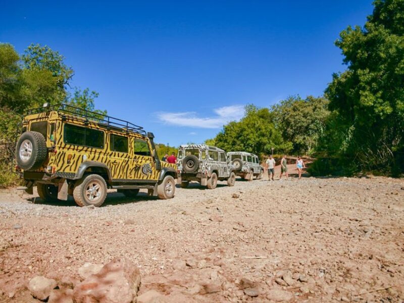 Jeep Safari Tour - Full Day - Final Thoughts: Is It Worth It?