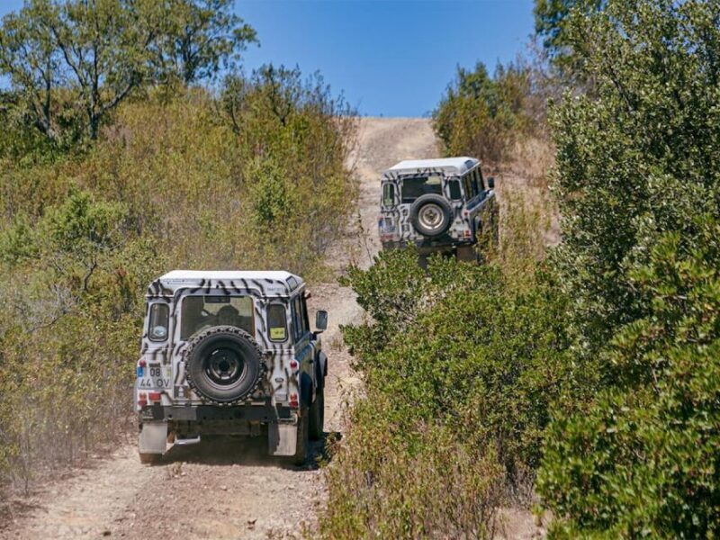Jeep Safari Tour - Full Day - FAQs