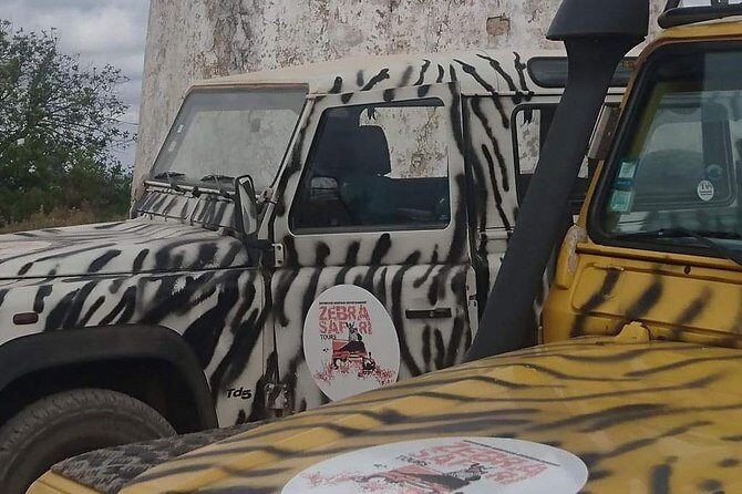 Jeep Safari Tour - Half Day - Key Points