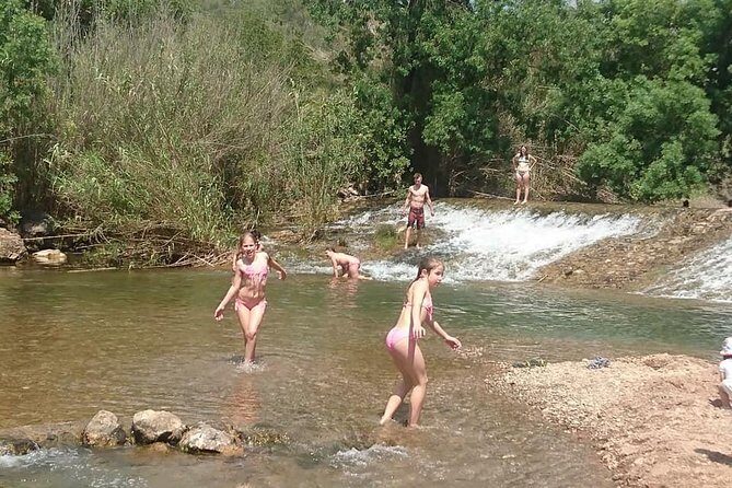 Jeep Safari Tour - Half Day - Who Is This Tour Best For?