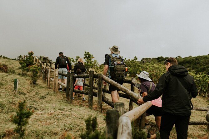 Jeep Safari Tour - Terceira Island FD - Final Thoughts