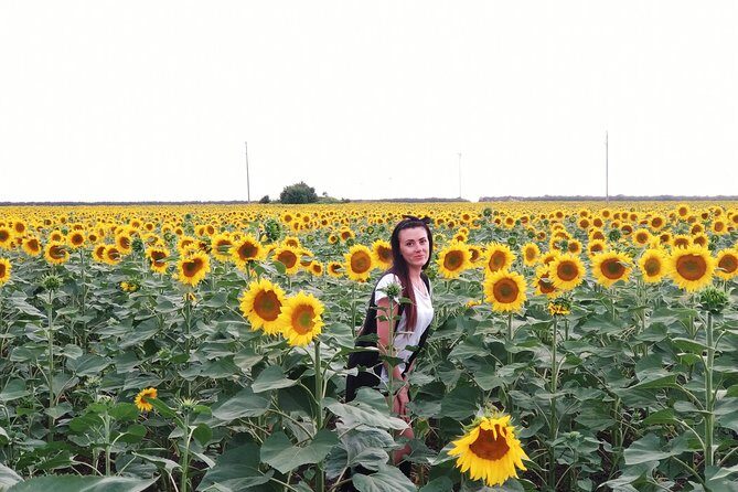 Jeep Safari Varna, Albena, Golden Sands & Kranevo - What You Can Expect from the Tour