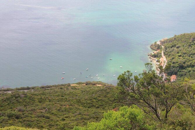 Jeep Tour through Arrábida Azeitão and Wine Tasting - What to Expect During the Tour