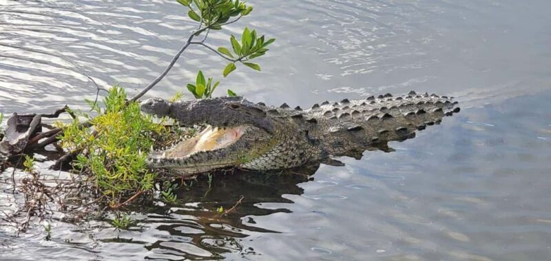 Jeep Tour to Punta Sur Eco Beach Park with Lunch - A Closer Look at the Tour Experience