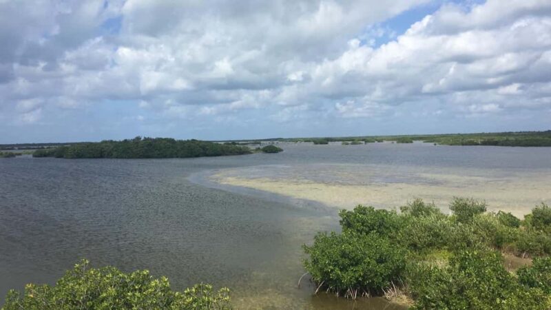 Jeep Tour to Punta Sur Eco Beach Park with Lunch - FAQ