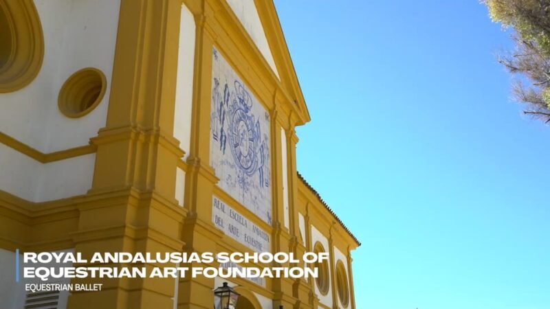 Jerez and Cadiz Private Tour from Seville - Final Thoughts