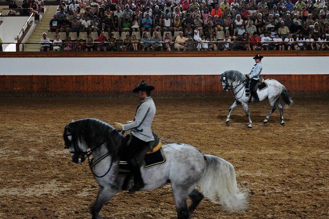 Jerez and Cadiz, with Horse Ballet and Sherry Tasting Full-day from Seville - Discovering Jerez and Cadiz From Seville