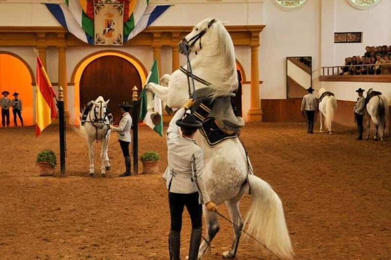 Jerez, Bodega Tío Pepe y Real Escuela de Arte Ecuestre - Final Thoughts: Who Is This Tour Perfect For?