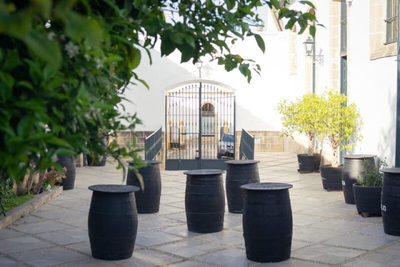 Jerez: Bodegas Álvaro Domecq Guided Tour with Wine Tasting - Who Should Consider This Tour?