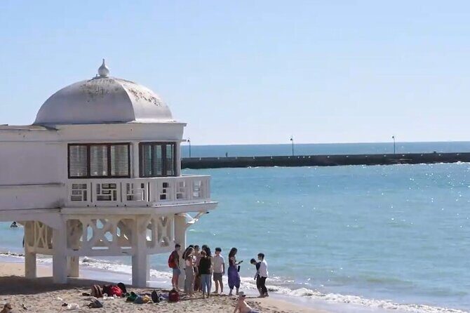 Jerez & Cadiz Winery with Tasting & Opt Horse Show from Seville - An In-Depth Look at the Tour Experience