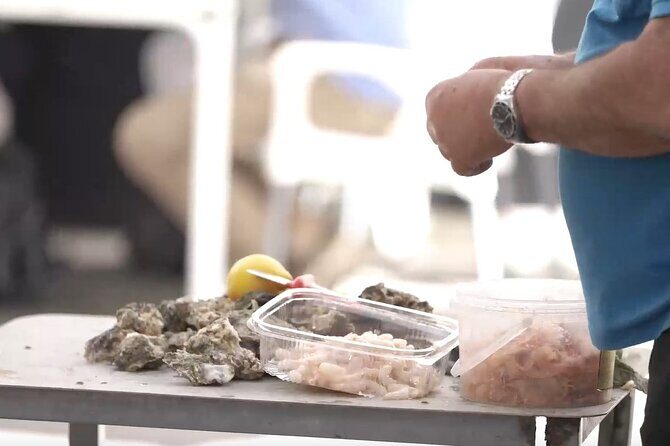 Jerez & Cadiz Winery with Tasting & Opt Horse Show from Seville - Final Thoughts