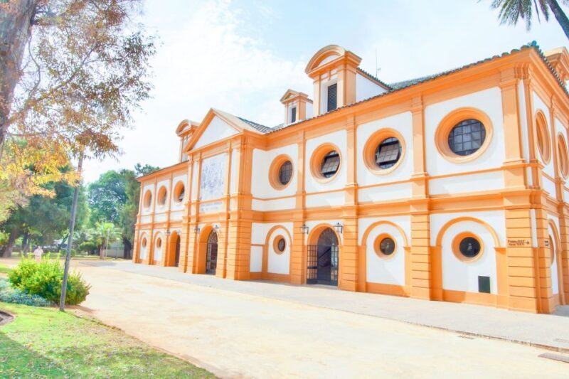 Jerez de la Frontera: How the Andalusian Horses Dance - What Is the Experience Like?