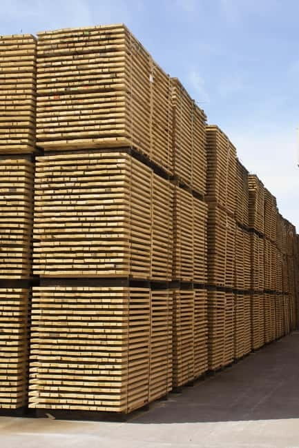 JEREZ DE LA FRONTERA: PREMIUM GUIDED TOUR TO THE COOPERAGE - An In-Depth Look at What the Tour Offers