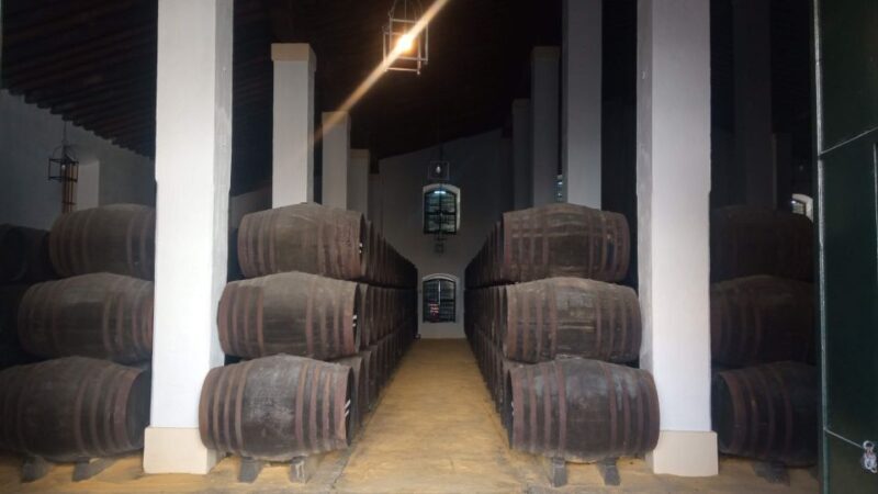 Jerez de la Frontera: Sherry Winery Tour with Tasting - A Close Look at the Experience