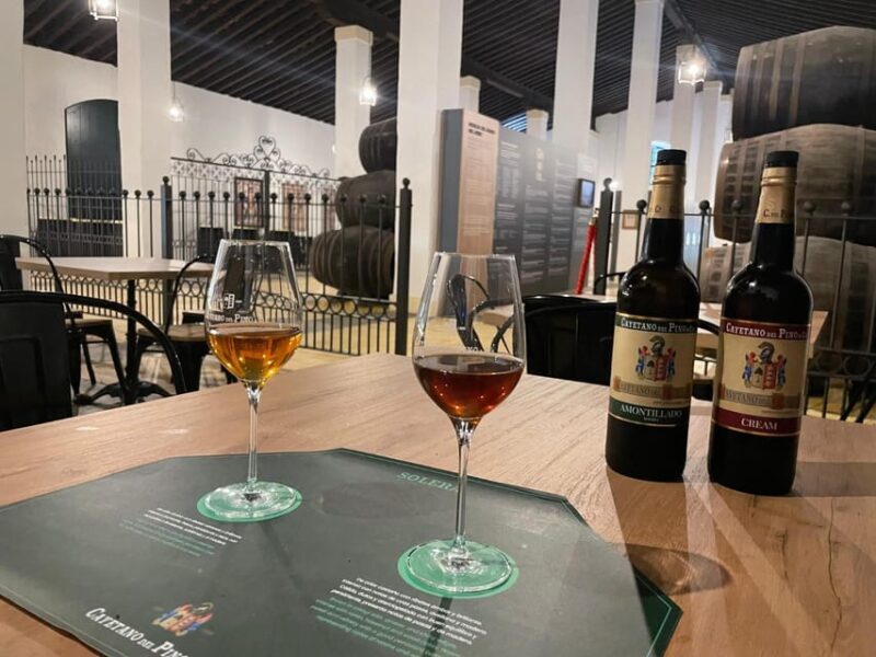 Jerez: Guided Winery Tour with Wine Tasting - Key Points