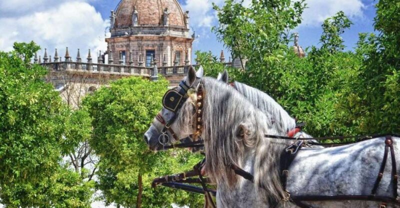 Jerez: Historic Center Guided Tour - Discovering Jerez: An Introduction