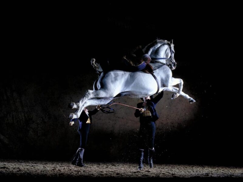 Jerez: Historic center of Jerez and horse show - Key Points