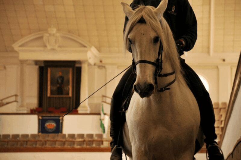 Jerez Private Tour From Seville: Wine and Equestrian Art - An Honest Look at the Experience