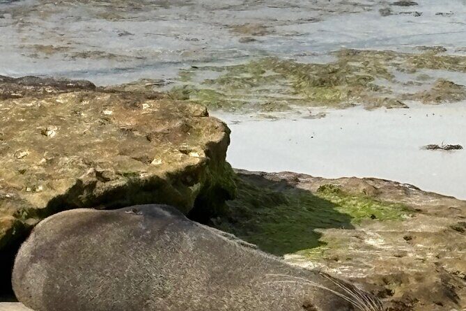 Jervis Bay and Shoalhaven South Coast NSW Private Tours - The Power of Nature at Kiama Blowhole