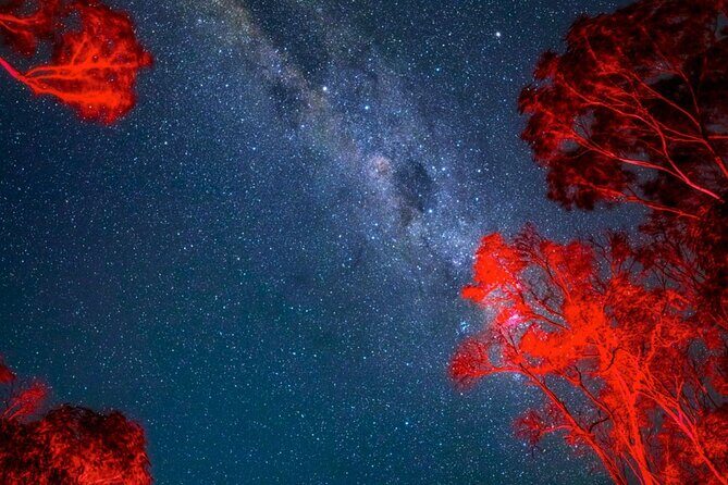 Jervis Bay Beach Stargazing Tour with our Astronomer - Final Thoughts: Is It Worth It?