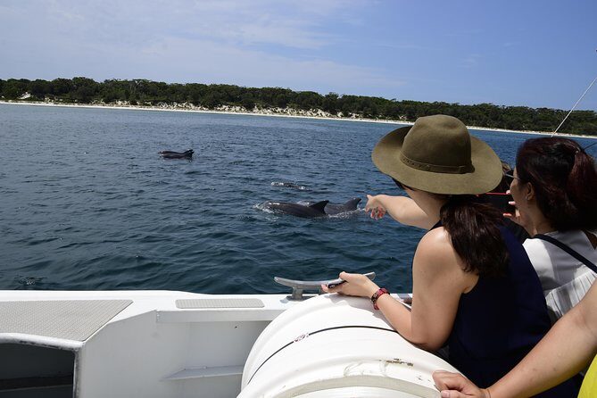 Jervis Bay Dolphin Cruise - Key Points