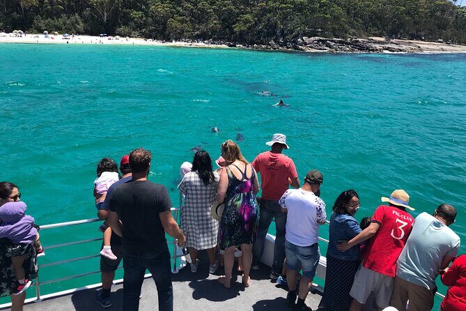 Jervis Bay Dolphin Cruise - FAQs About the Jervis Bay Dolphin Cruise