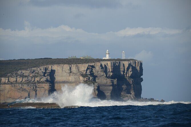 Jervis Bay Passage Tour - Final Thoughts: Is This Tour for You?