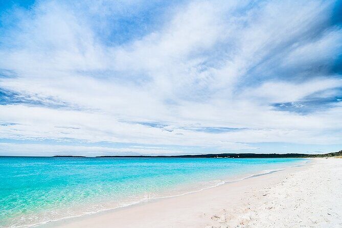 Jervis Bay Tour with Dolphins, Kangaroos & World's Whitest Beach - Key Points