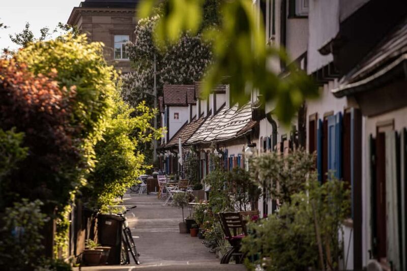 Jester in Ulm Tour - Key Points