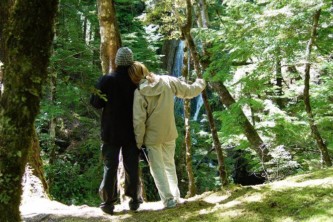 Jet Boat and Wilderness Walk Tour from Wanaka - The Sum Up: Is This Tour Right for You?