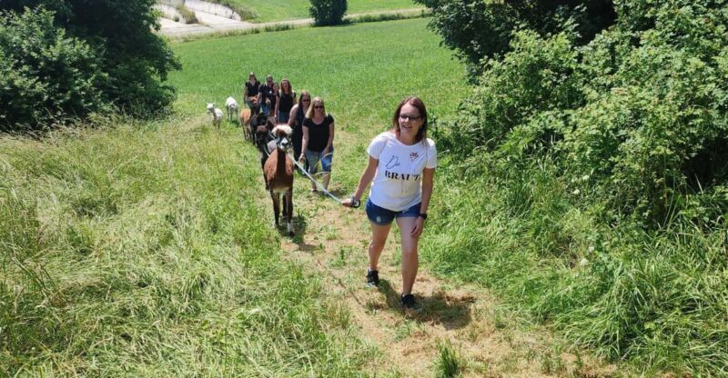 Jettingen-Scheppach: Alpaca hike through the Mindeltal - Who Is This Tour Best For?