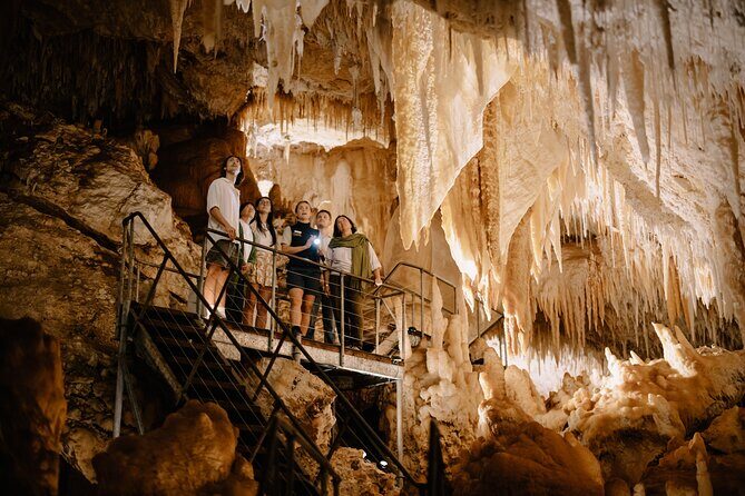 Jewel Cave Fully-guided Tour (Located in Western Australia) - What to Expect from the Jewel Cave Tour