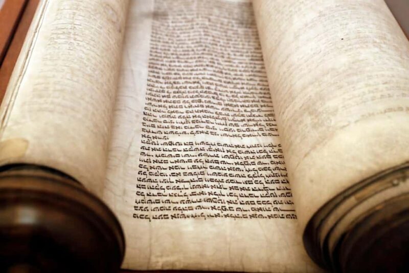 Jewish Sites Miami History Private Guided Walking Tour - Practical Details and Considerations