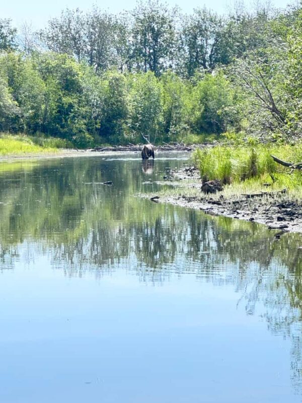 Jim Lake: Discover Kayaking Guided Tour - Who Should Consider This Tour?