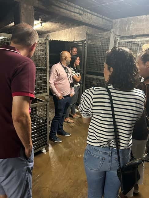 Johannisberg Rheingau: Wine tasting with cellar tour and hike - Practical Details and Considerations