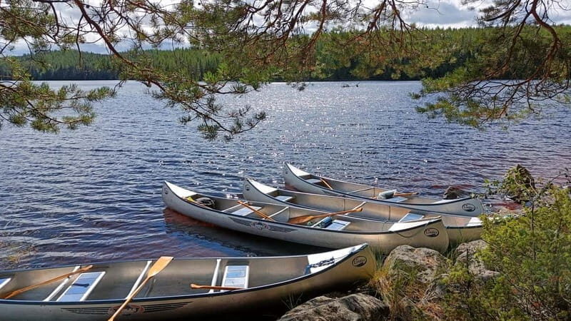 Johannisholm: Guided Canoe Tour on Lake Venjanssjön - Who Should Consider This Tour?