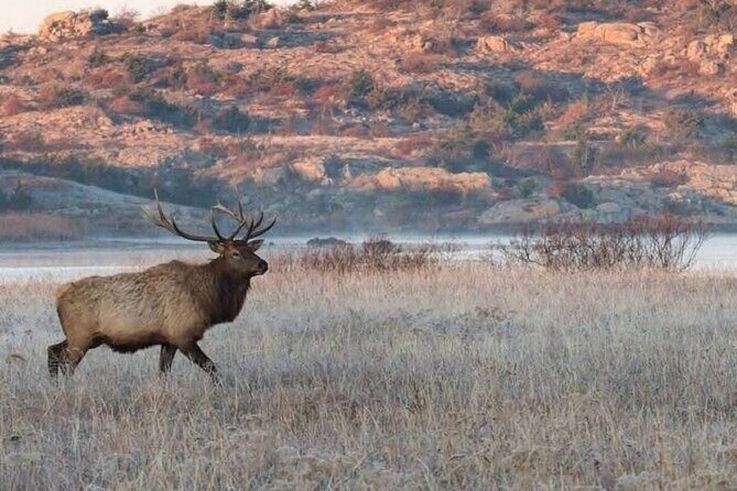 Johnson Canyon Lake Louise Emerald Lake Banff Gondola Hoodos - Yoho National Park: Geological Marvels and Historic Engineering