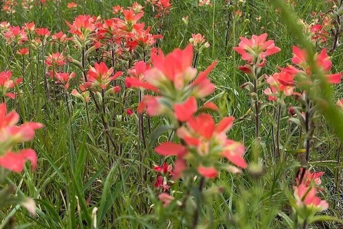 Johnson Canyon Lake Louise Emerald Lake Banff Gondola Hoodos - Final Thoughts: Is This Tour Right for You?