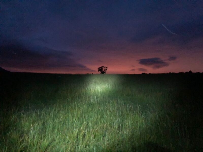 Join the Dark Side of Magical Nature - What We Love About the Experience