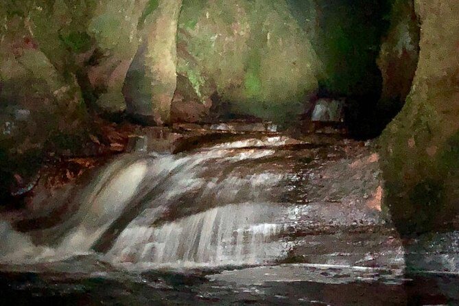 Join the Dark Side of Magical Nature - The Itinerary Breakdown