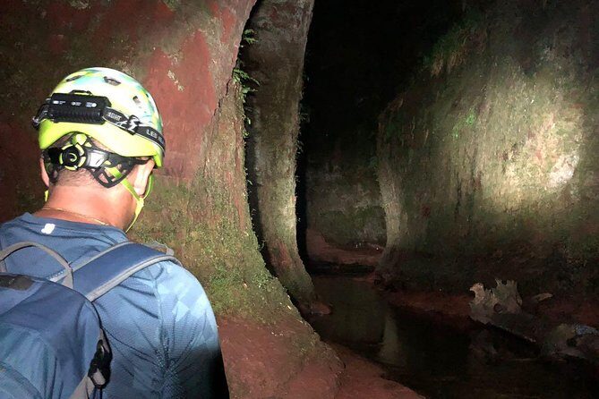 Join the Dark Side of Magical Nature - What We Like About This Tour