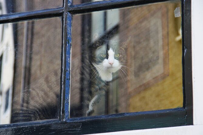 Jordaan District Walking Tour in German - A Deep Dive into the Experience