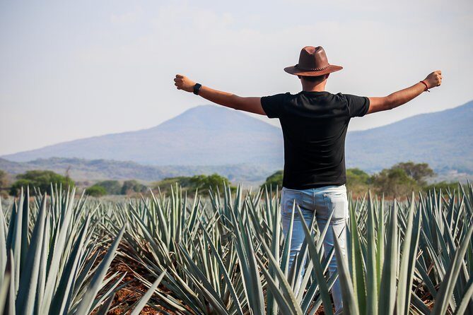 José Cuervo Tequila Day Experience from Guadalajara - What You Can Expect from the Tour