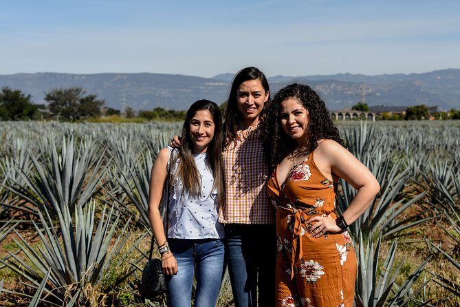 José Cuervo Tequila Day Experience from Guadalajara - Who Should Consider This Tour?