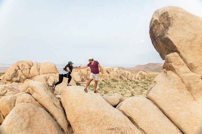 Joshua Tree Full Day Private Tour and Hike - What to Expect from the Joshua Tree Full Day Private Tour and Hike
