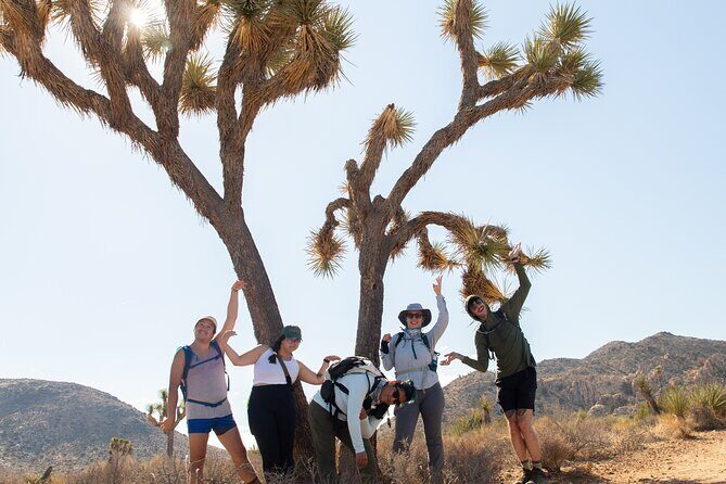 Joshua Tree Full Day Private Tour and Hike - Who Should Consider This Tour?