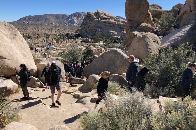 Joshua Tree National Park Driving Tour - The Experience Beyond Just Sightseeing